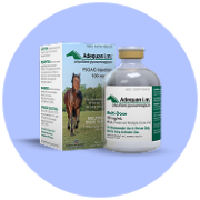 Horse Wellness